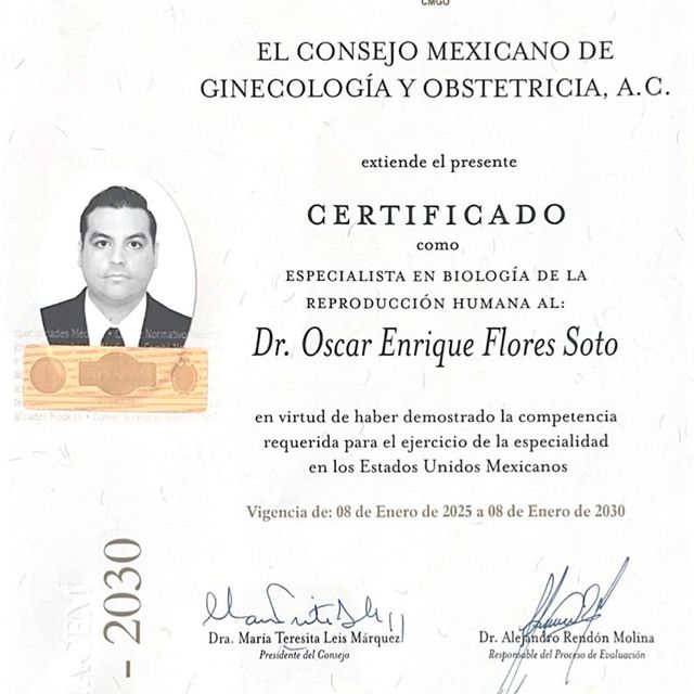 Ampliar imagen: certificate 7