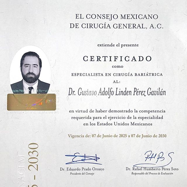Ampliar imagen: certificate 3
