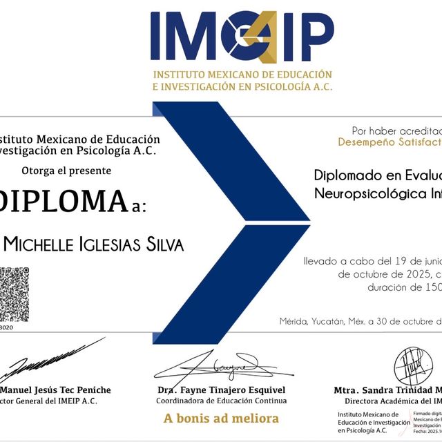 Ampliar imagen: certificate 7