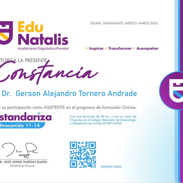 Ampliar imagen: certificate 4