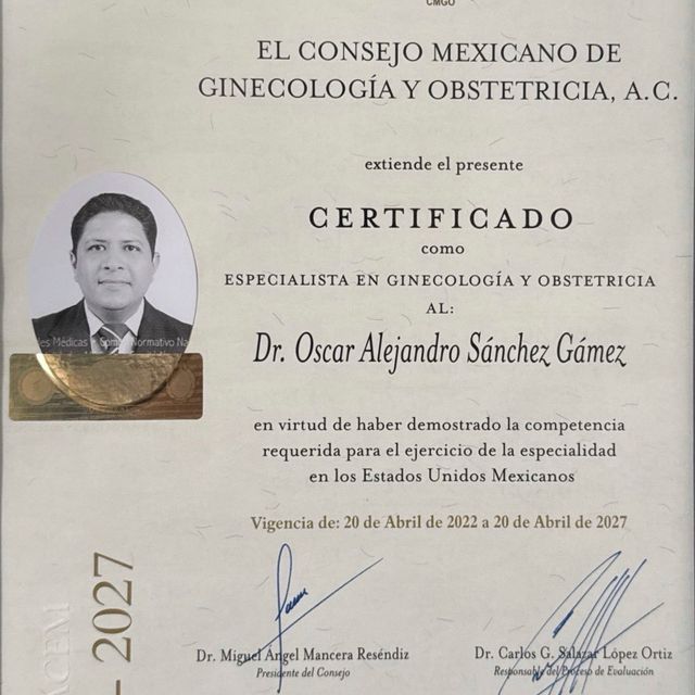 Ampliar imagen: certificate 2