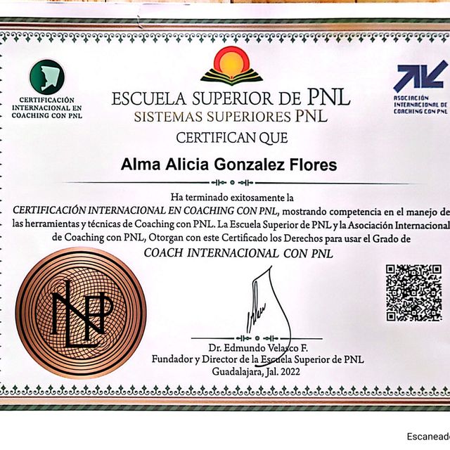Ampliar imagen: certificate 5