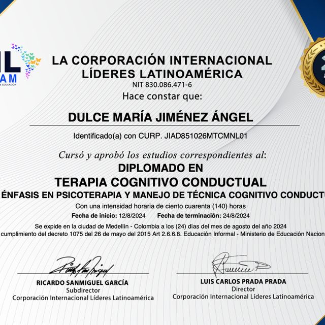 Ampliar imagen: certificate 5