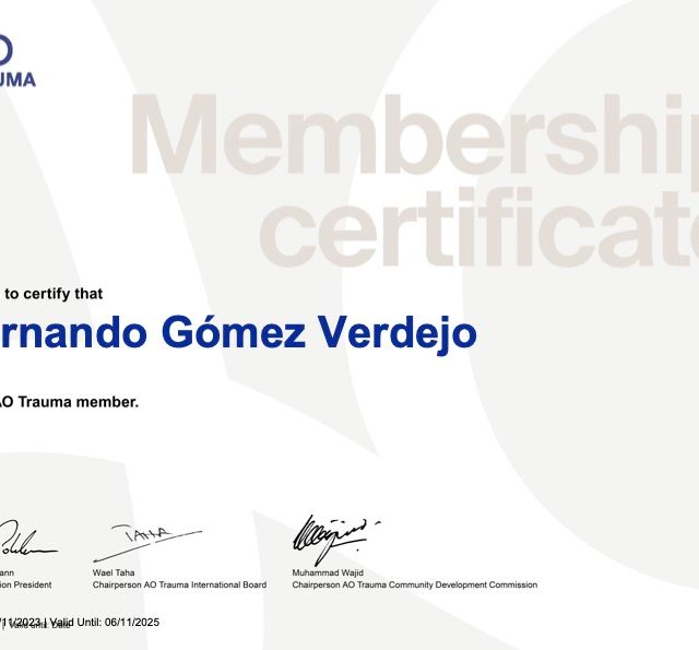 Ampliar imagen: certificate 5