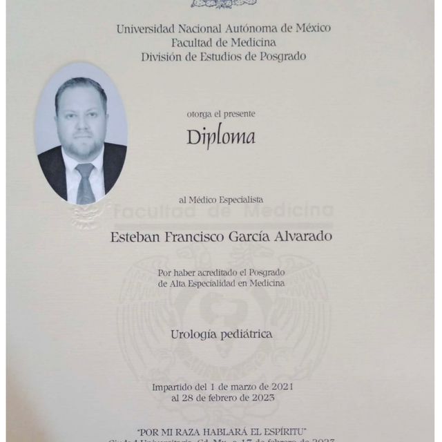 Ampliar imagen: certificate 3