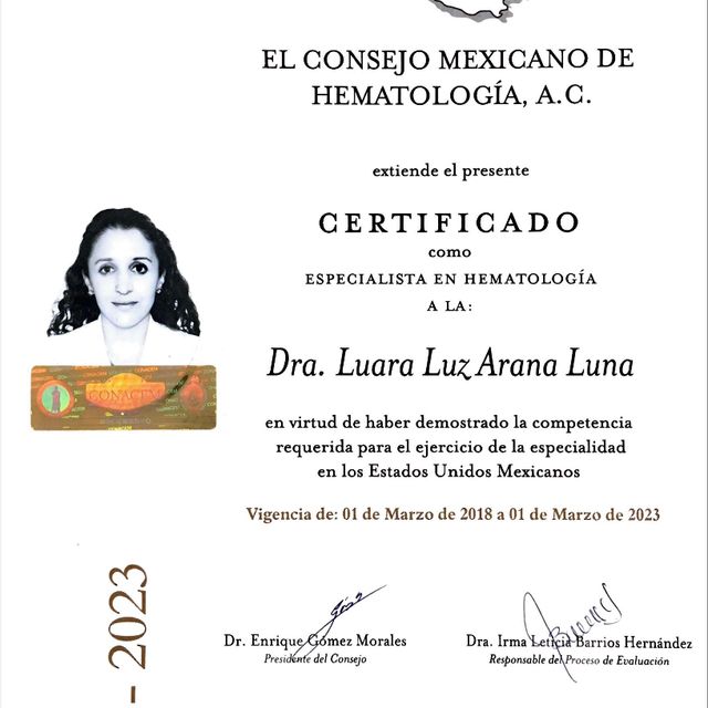 Ampliar imagen: certificate 2