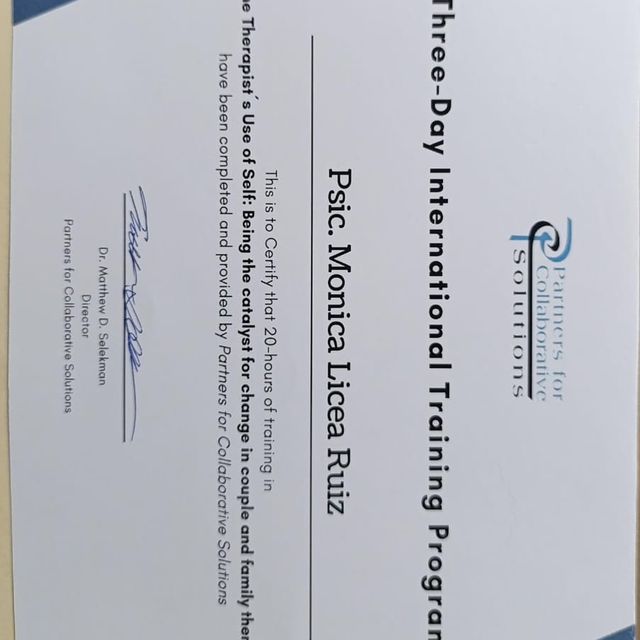 Ampliar imagen: certificate 1