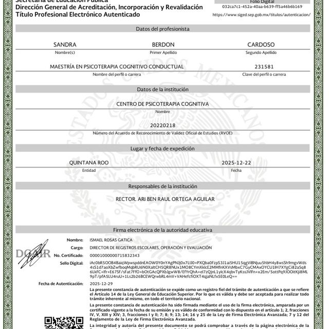 Ampliar imagen: certificate 4