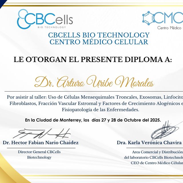 Ampliar imagen: certificate 1