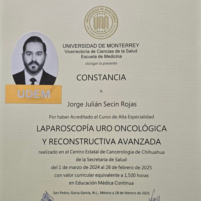 Ampliar imagen: certificate 3
