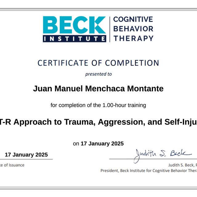 Ampliar imagen: certificate 3