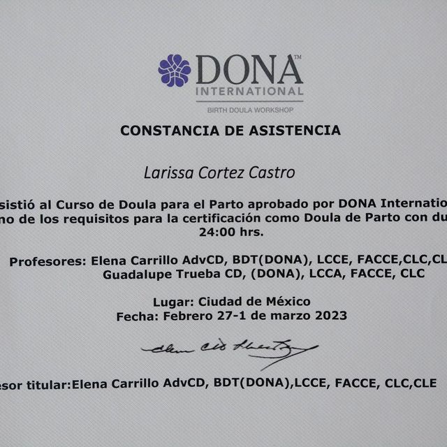 Ampliar imagen: certificate 8