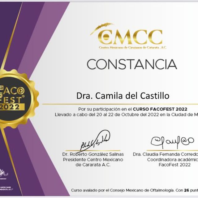 Ampliar imagen: certificate 3