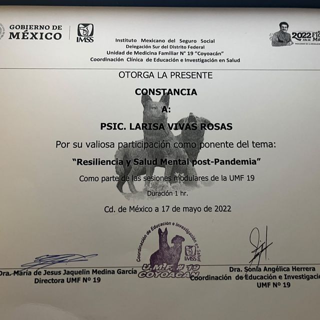 Ampliar imagen: certificate 11