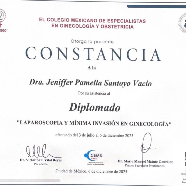 Ampliar imagen: certificate 10