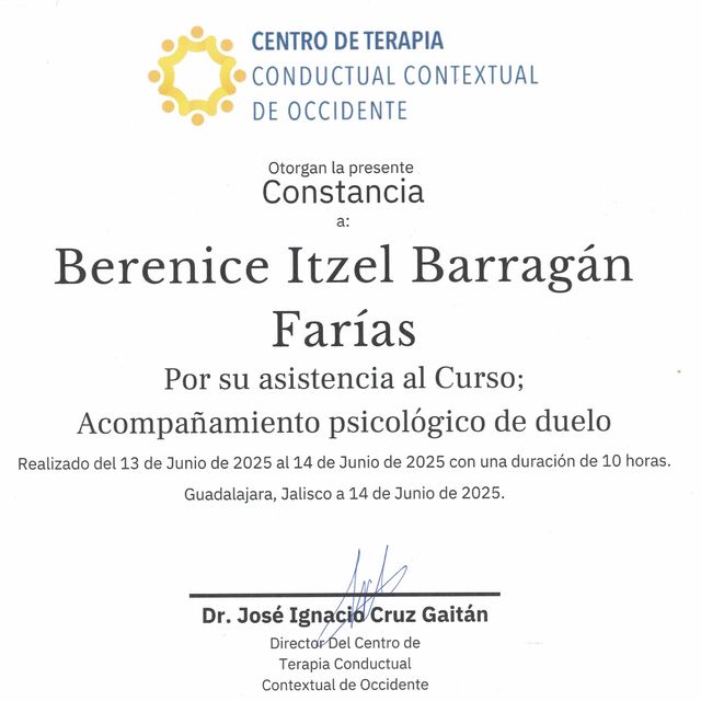 Ampliar imagen: certificate 8