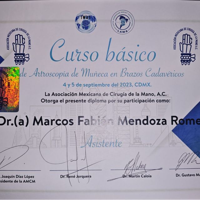 Ampliar imagen: certificate 4