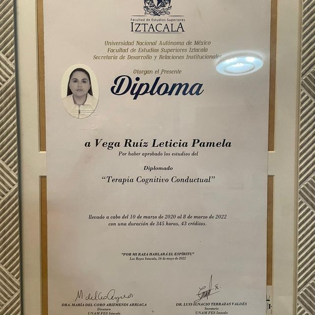 Ampliar imagen: certificate 2