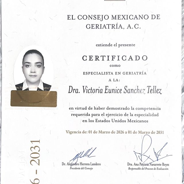 Ampliar imagen: certificate 2