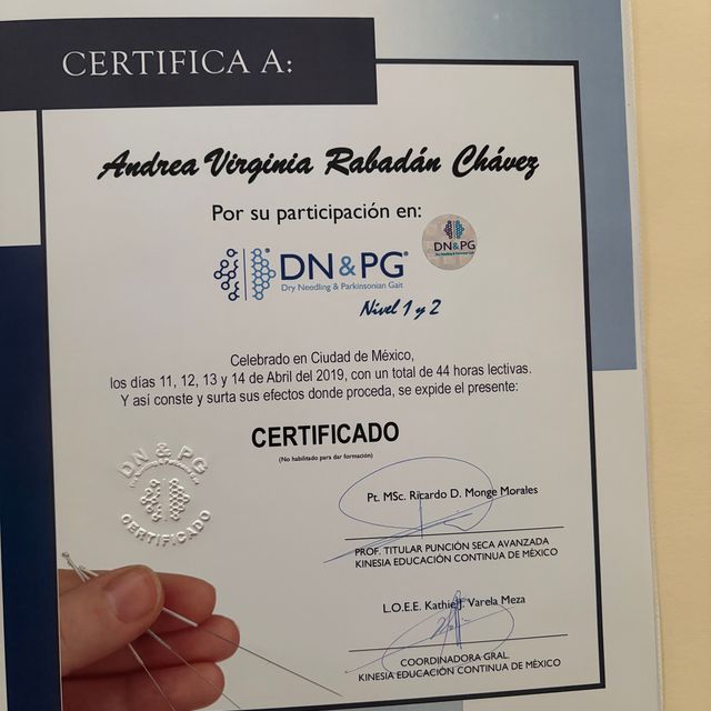 Ampliar imagen: certificate 4
