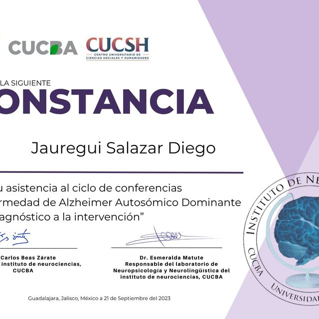 Ampliar imagen: certificate 5