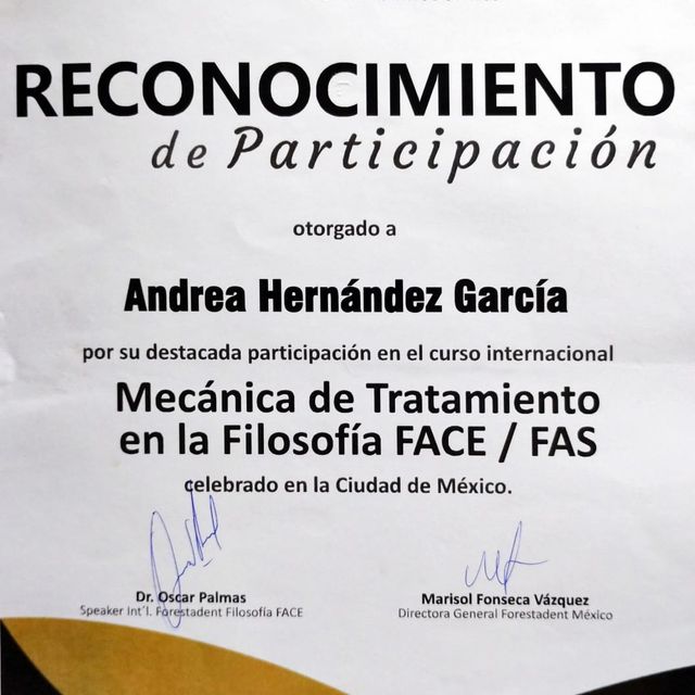 Ampliar imagen: certificate 6