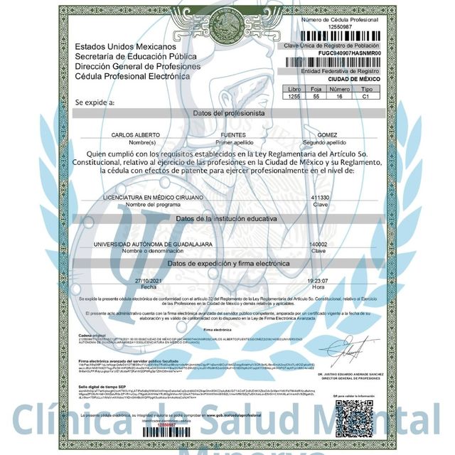 Ampliar imagen: certificate 1