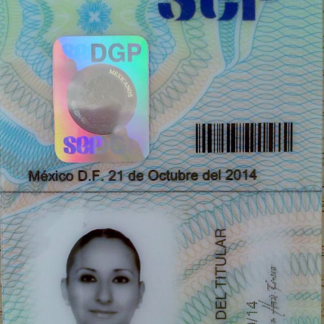 Ampliar imagen: certificate 4