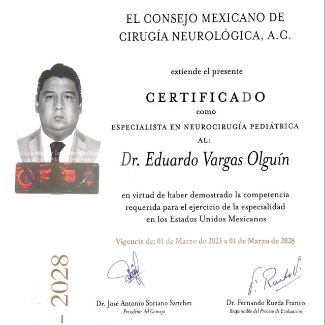 Ampliar imagen: certificate 1