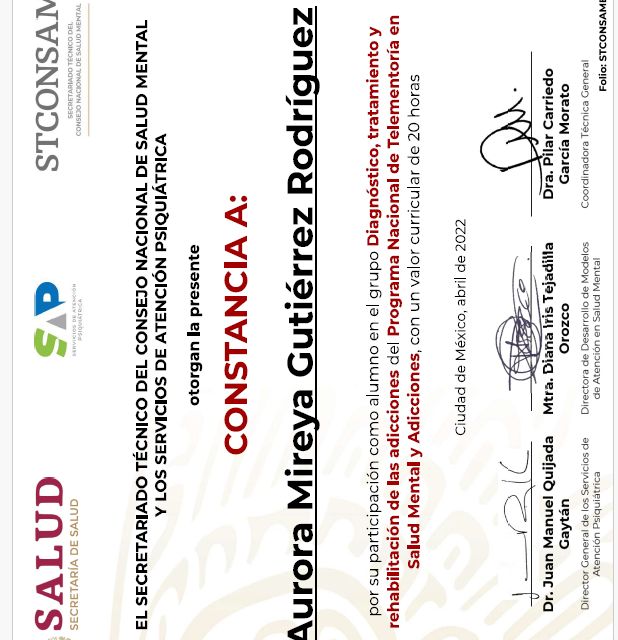 Ampliar imagen: certificate 6