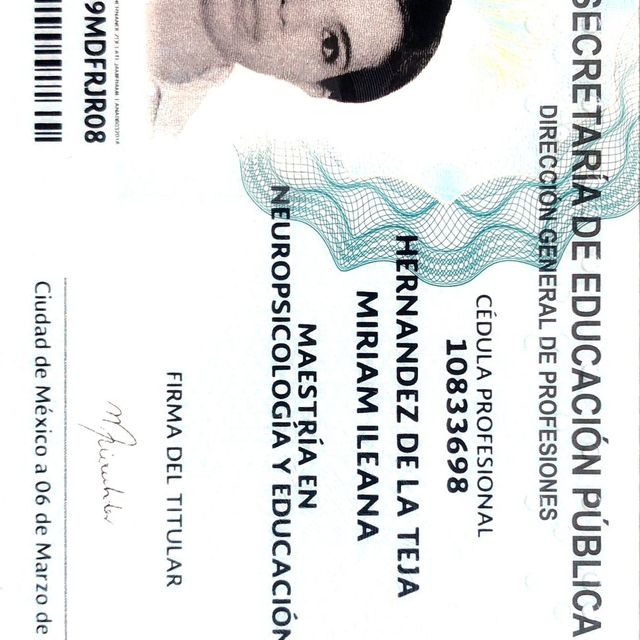 Ampliar imagen: certificate 4