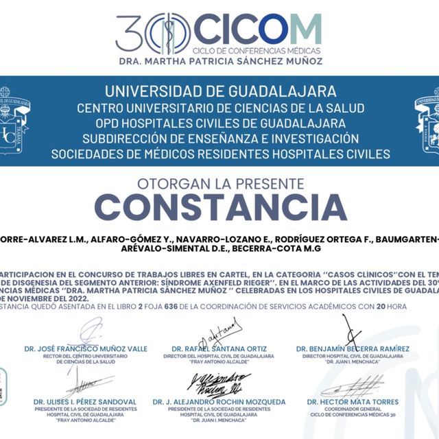 Ampliar imagen: certificate 16