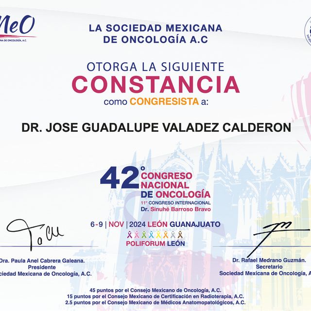 Ampliar imagen: certificate 3