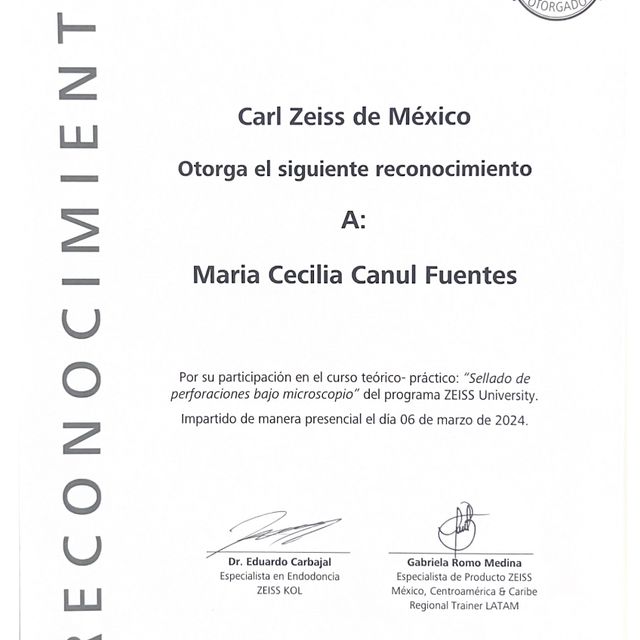 Ampliar imagen: certificate 11