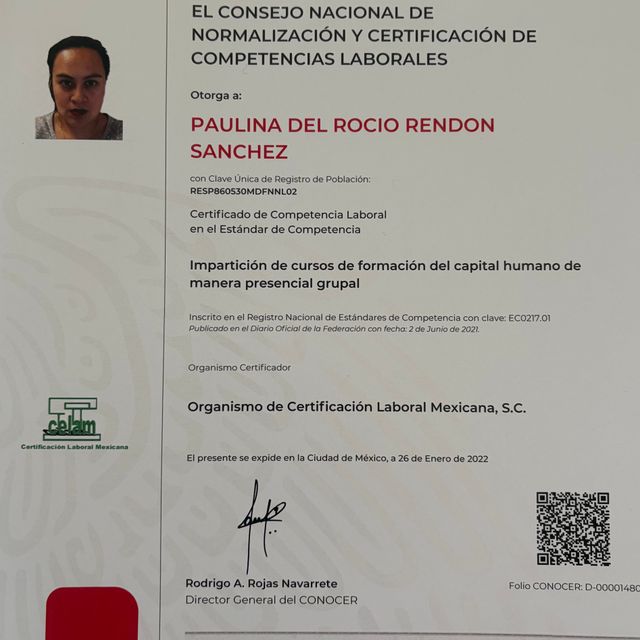Ampliar imagen: certificate 15