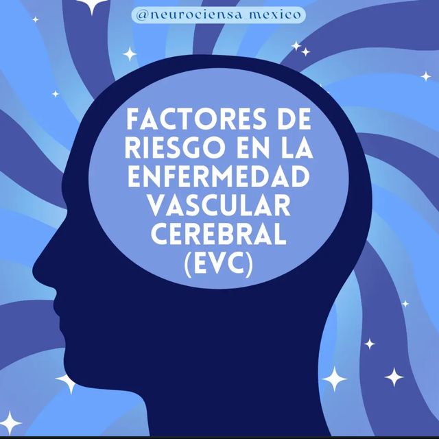 Ampliar imagen: certificate 21