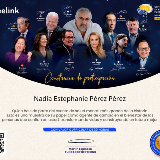 Ampliar imagen: certificate 1