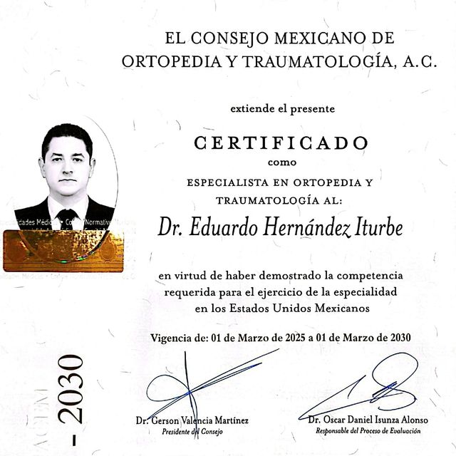 Ampliar imagen: certificate 1