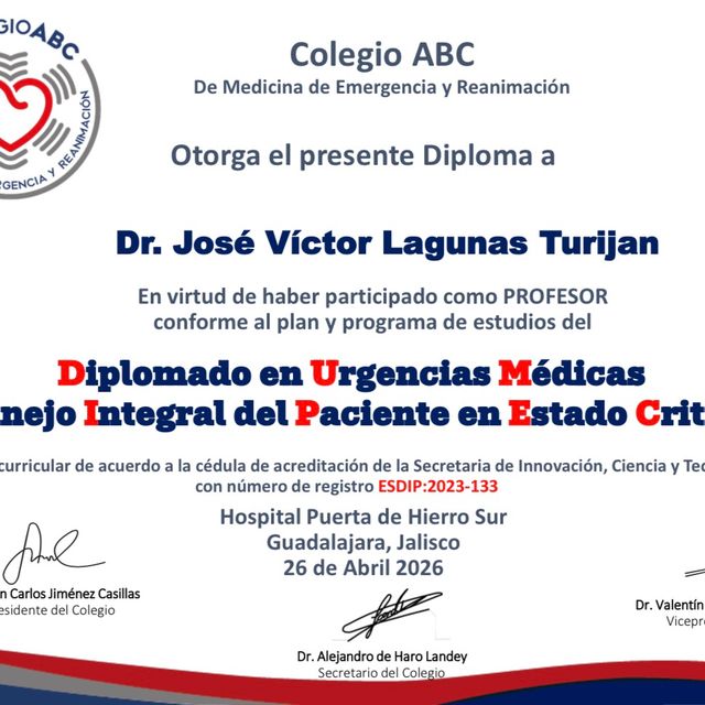 Ampliar imagen: certificate 5
