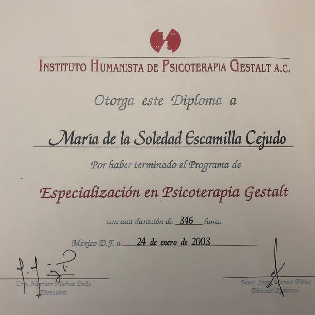 Ampliar imagen: certificate 7
