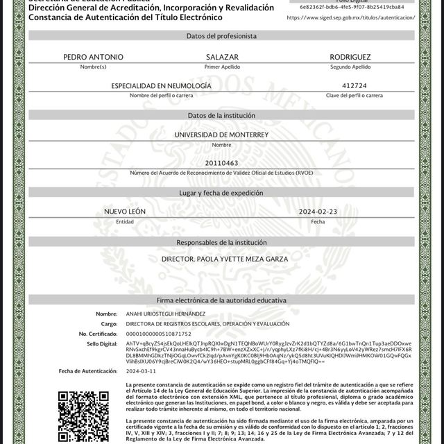 Ampliar imagen: certificate 4