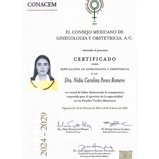 Ampliar imagen: certificate 2