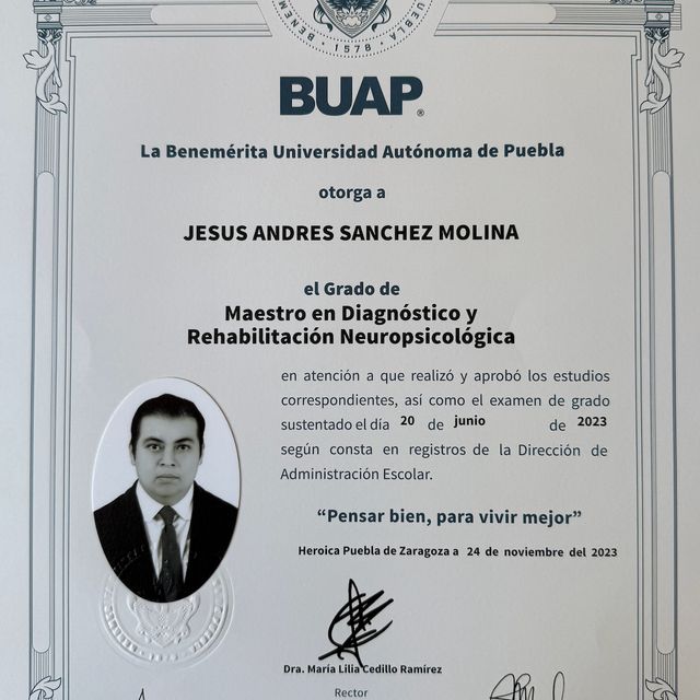 Ampliar imagen: certificate 4