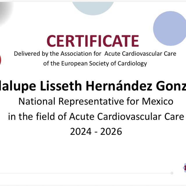 Ampliar imagen: certificate 2