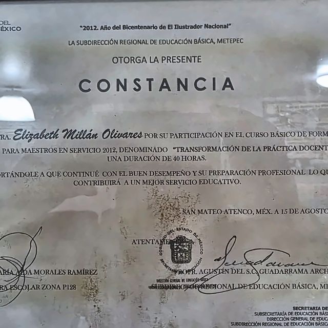 Ampliar imagen: certificate 10