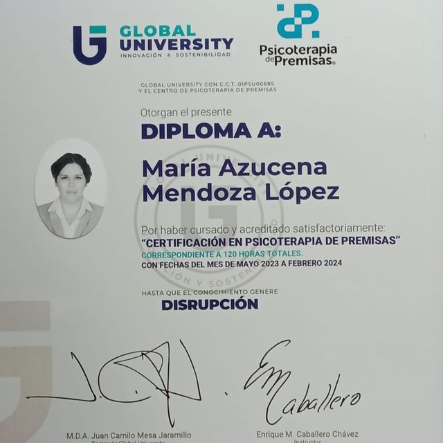 Ampliar imagen: certificate 1