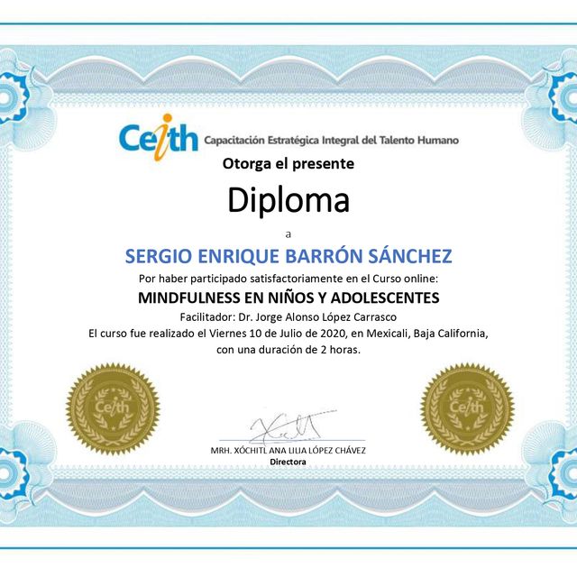 Ampliar imagen: certificate 4