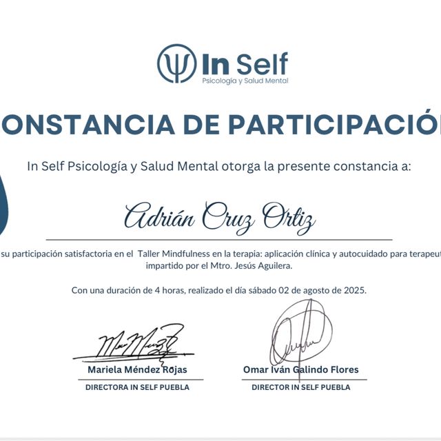 Ampliar imagen: certificate 8