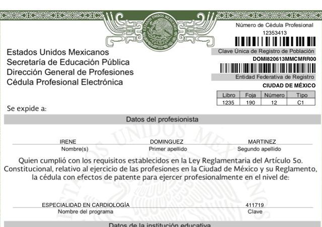 Ampliar imagen: certificate 5