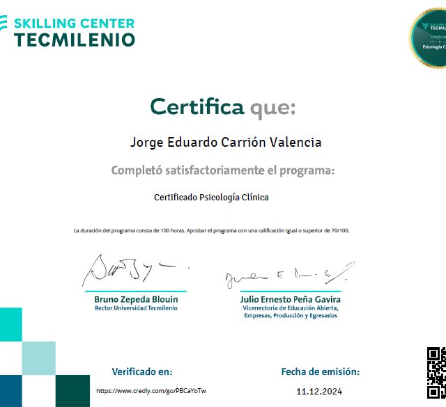 Ampliar imagen: certificate 3